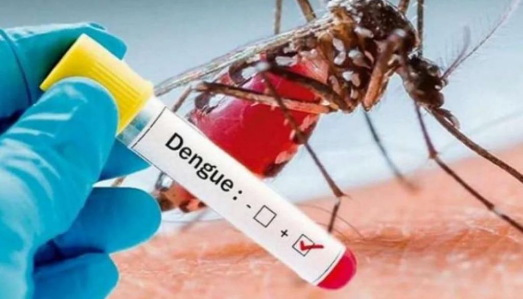 Dengue 1